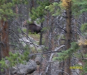 2016 07 11 Montana Scenery 003